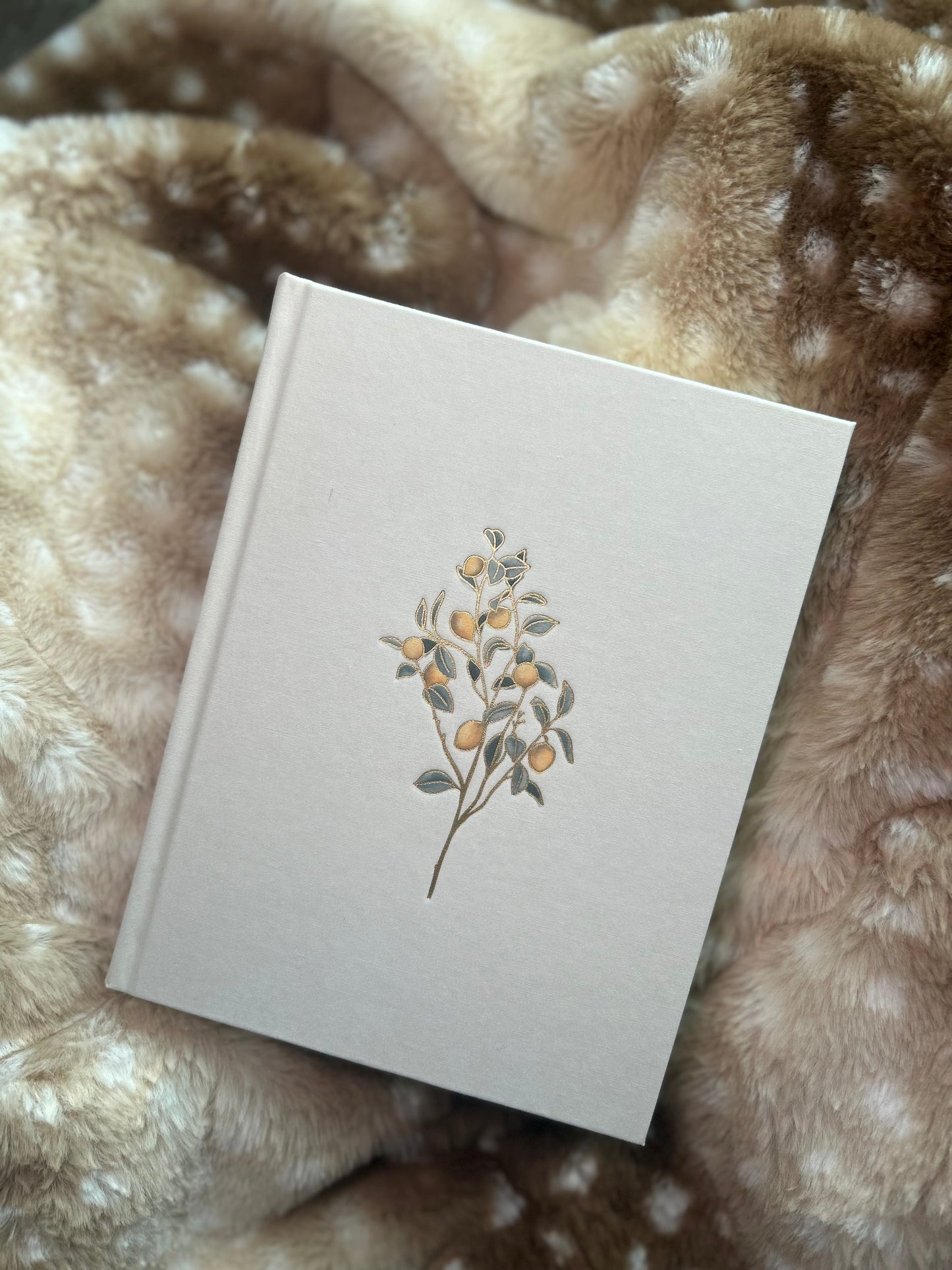 Hosanna Revival Notetaking Bible
