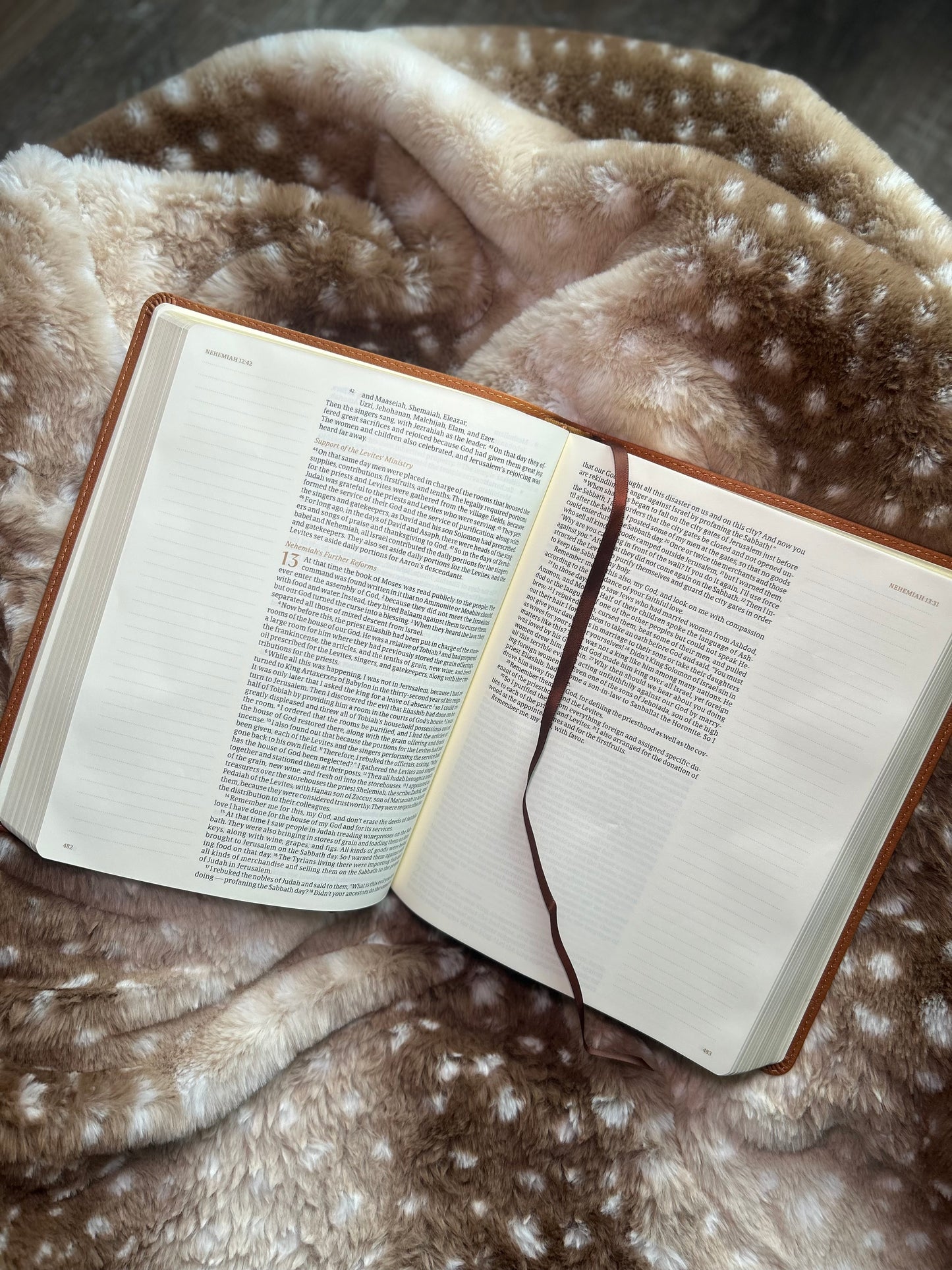 Wheat Embossed Leather-Like Notetaking Bible
