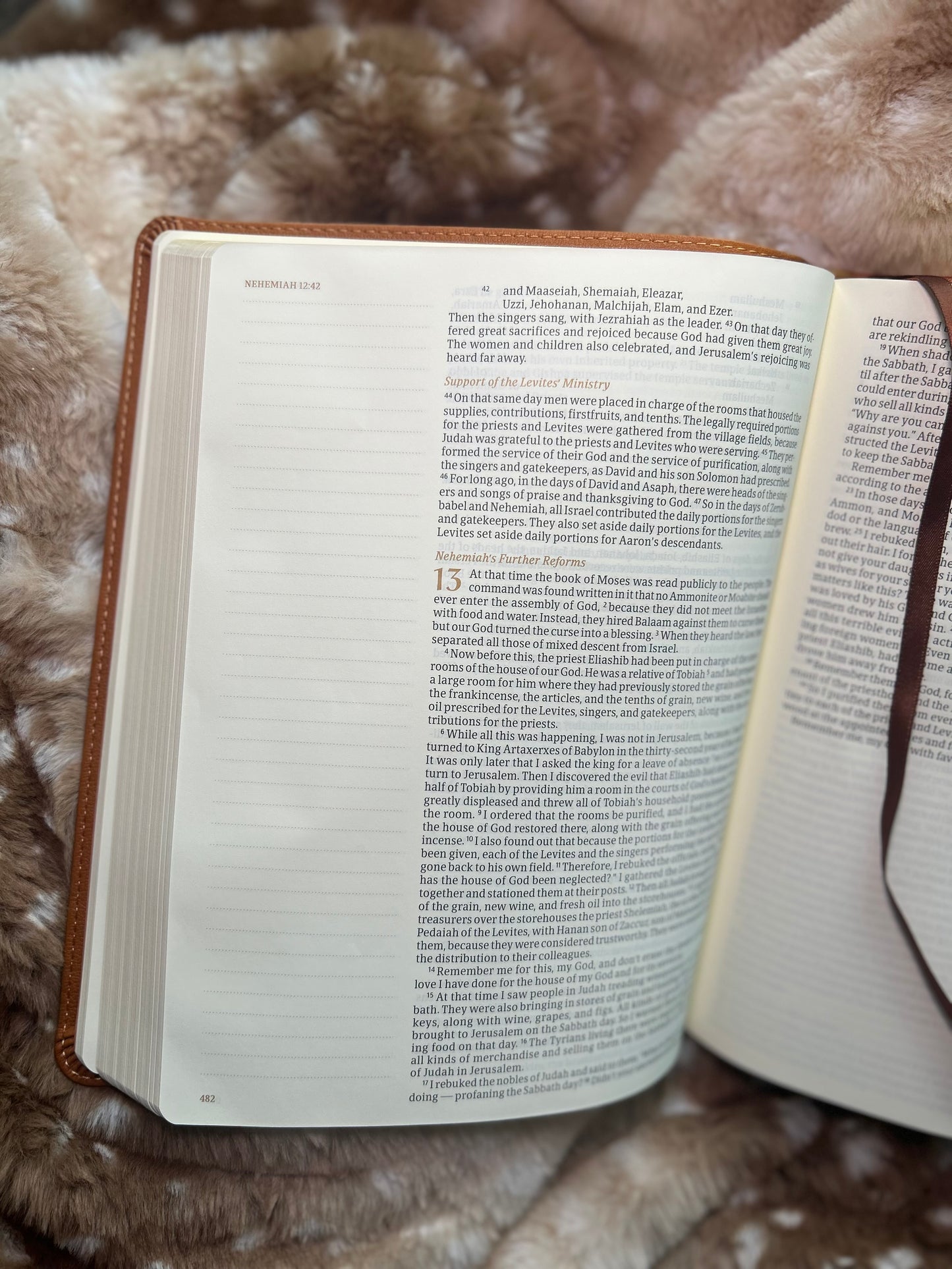 Wheat Embossed Leather-Like Notetaking Bible