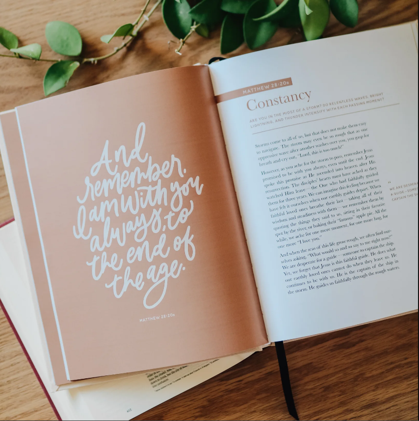 The Promises of God- Women's Devotional