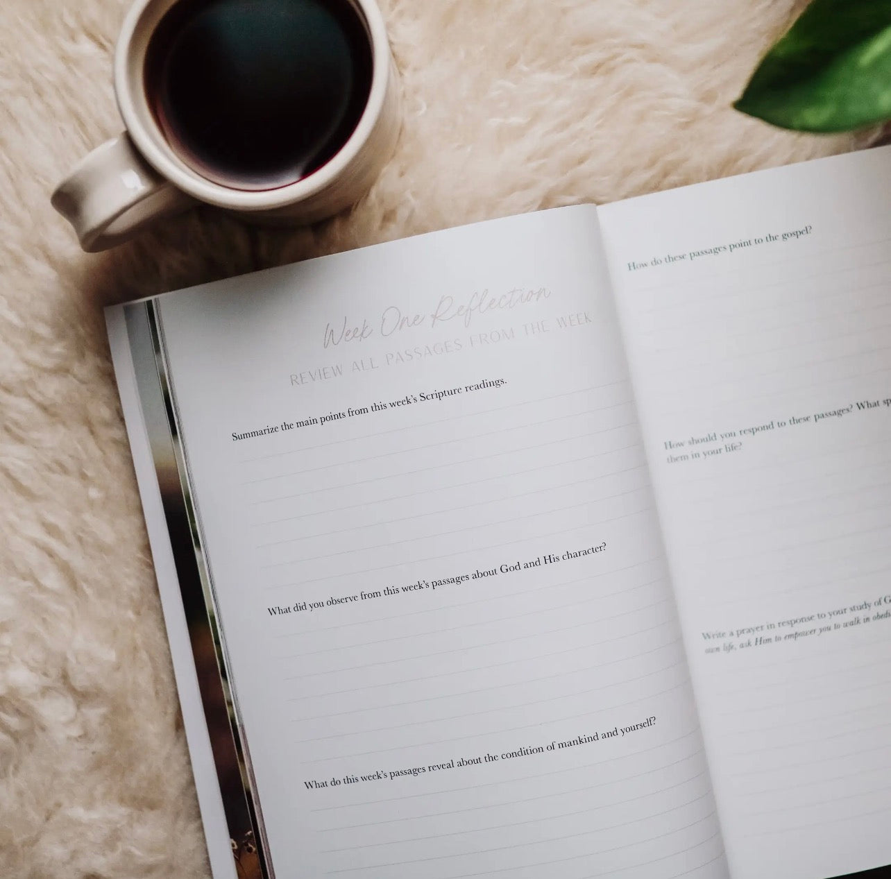 When Fear Meets Faith | Bible Study