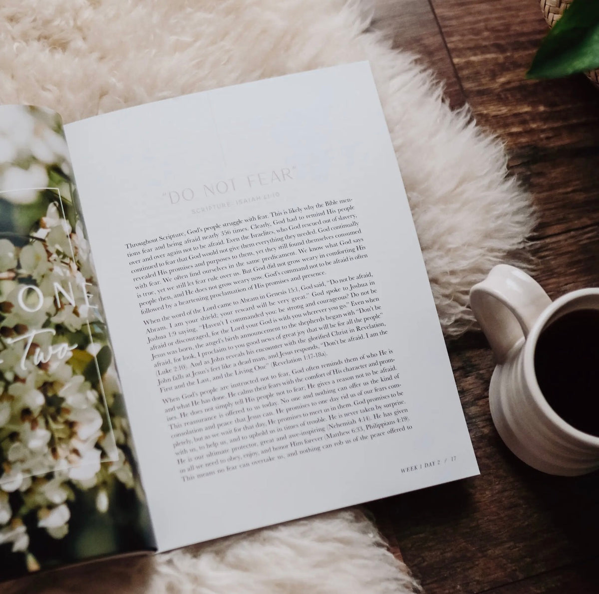 When Fear Meets Faith | Bible Study