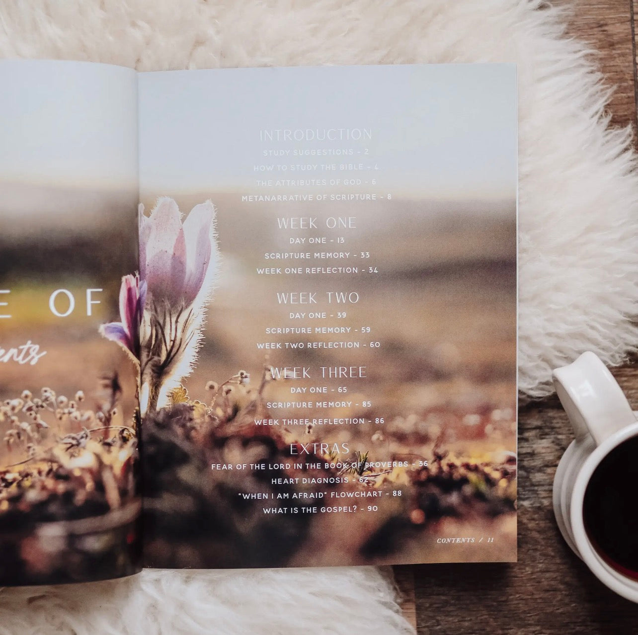 When Fear Meets Faith | Bible Study