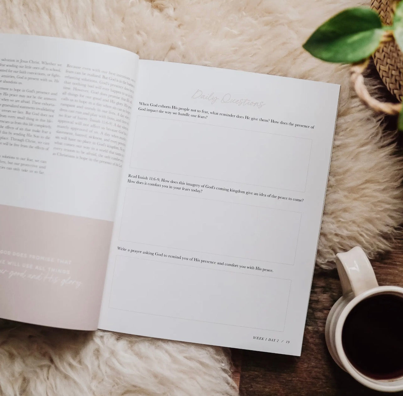 When Fear Meets Faith | Bible Study