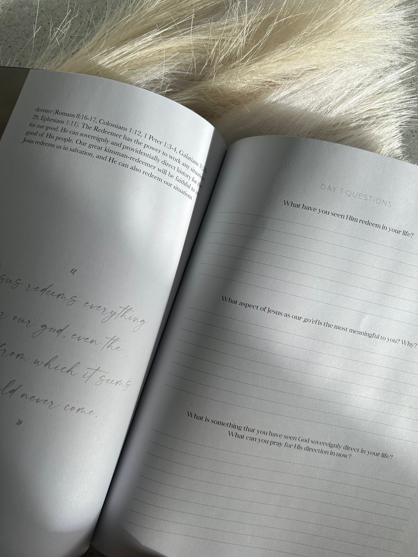 Ruth: Fields of Grace Bible Study